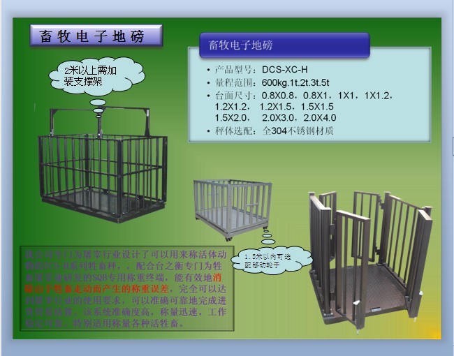 (ni)ɹŷQQ/ţӰ